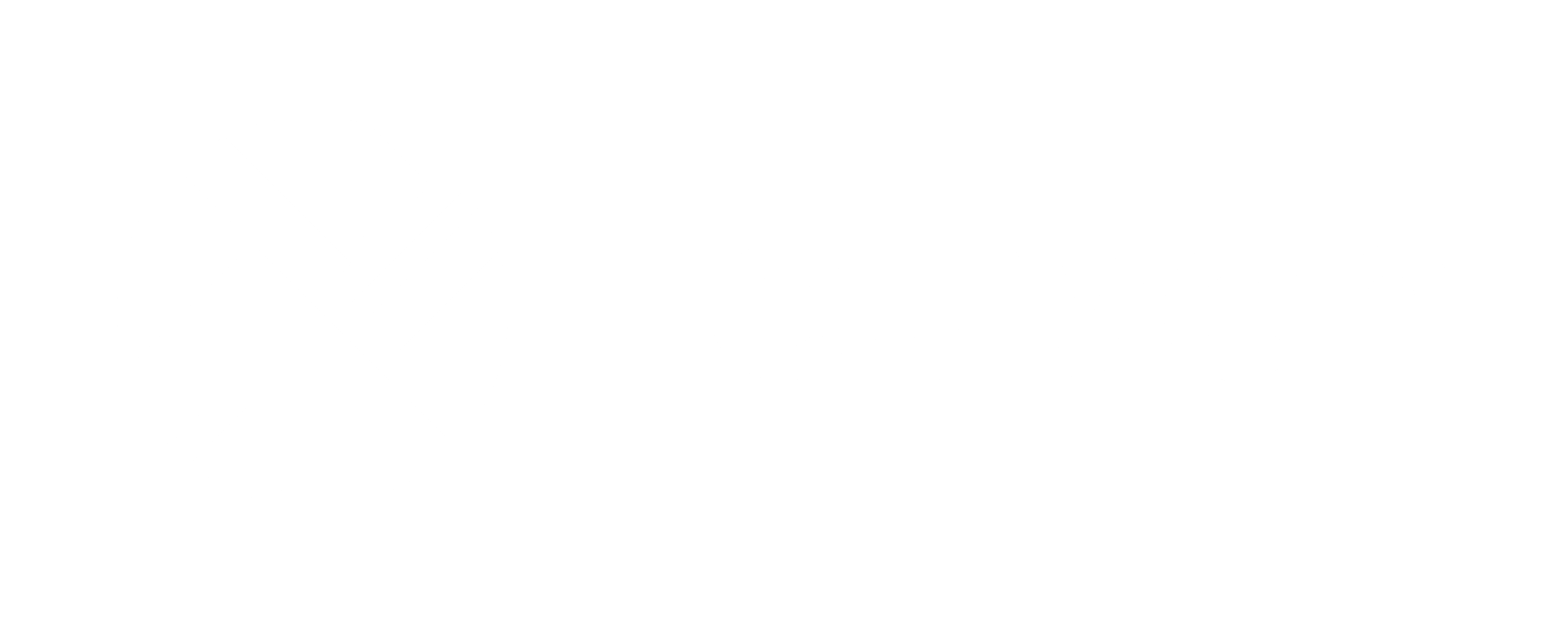 Leuven-logo-white-rgb_0